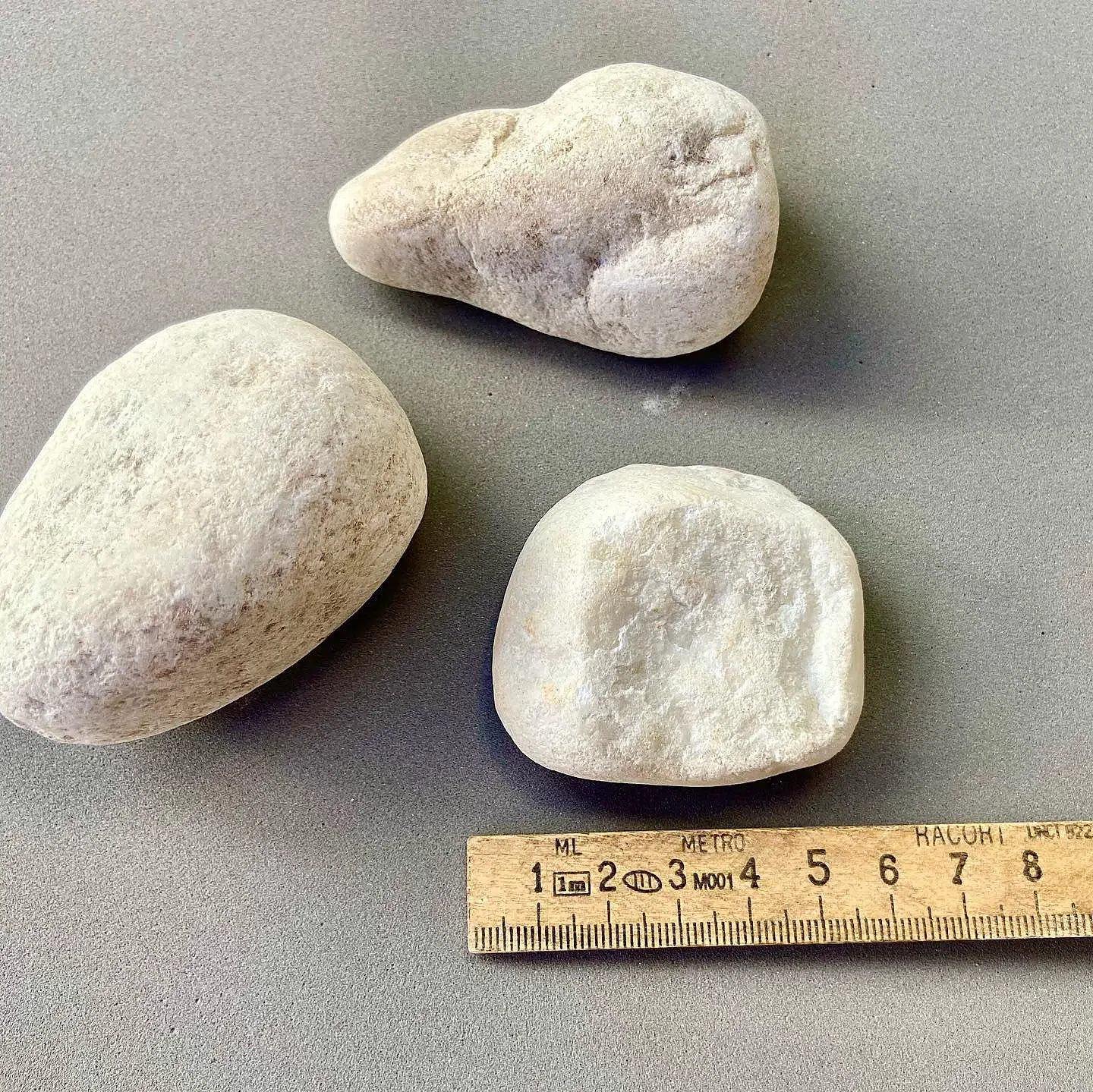 Piedras claras redondeadas sobre una superficie gris, junto a una regla, en una fotografía del archivo de Vivero Kaki.