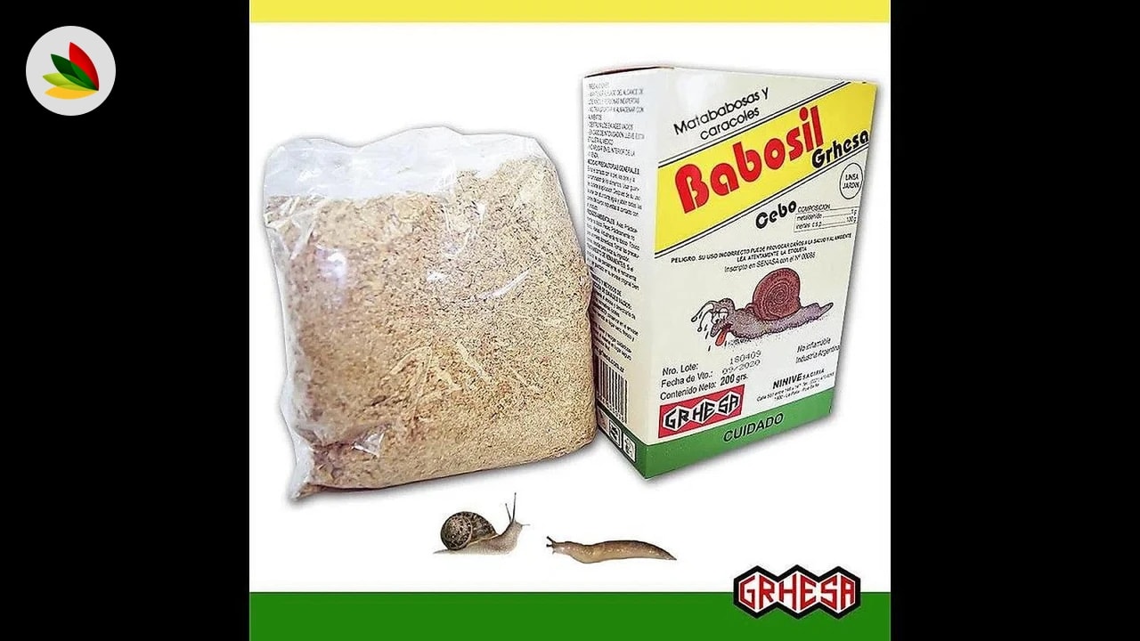Grhesa babosil cebo- polvo