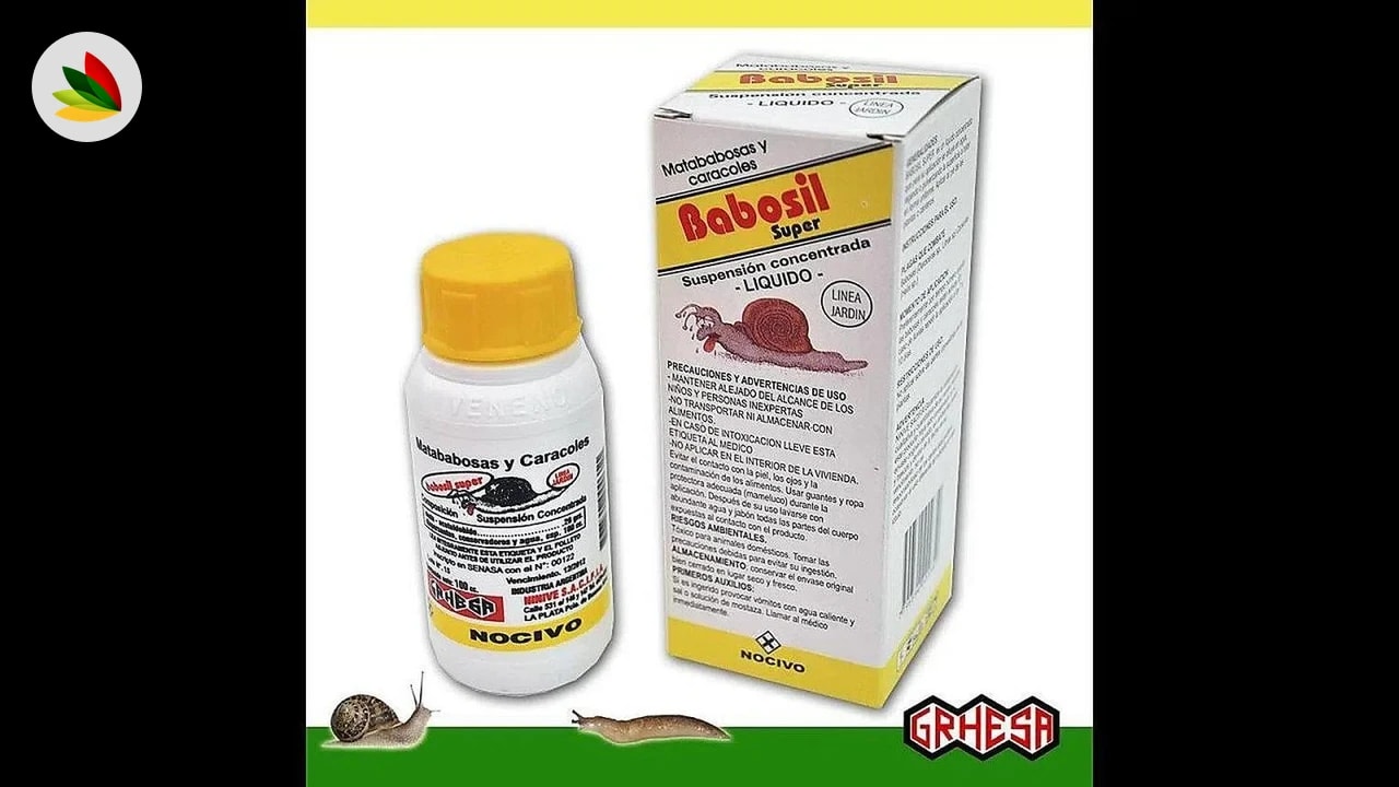 Grhesa babosil