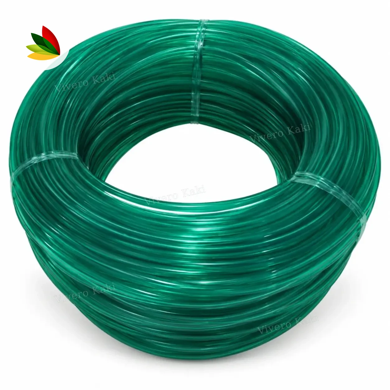 Spaghetti para tutorar