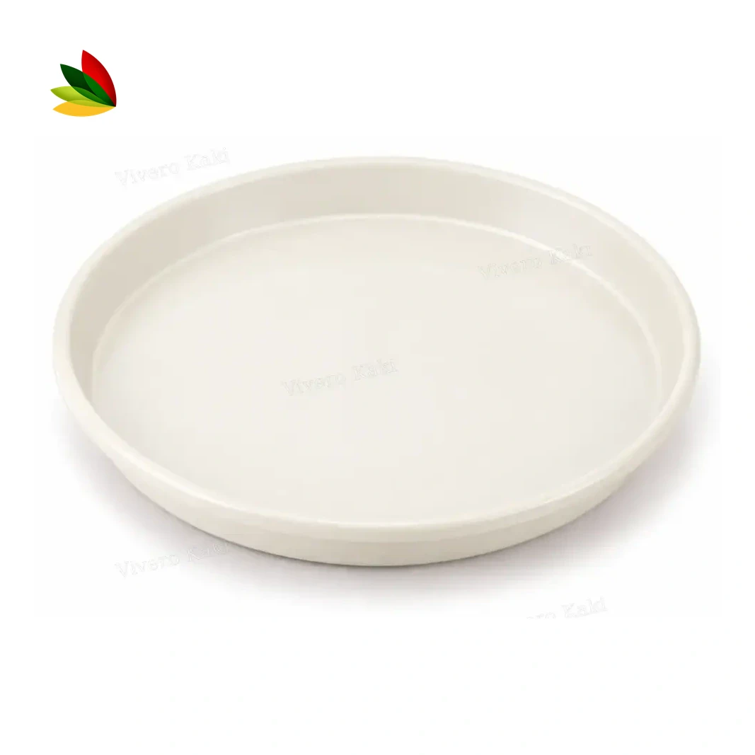 Plato redondo 10 cm