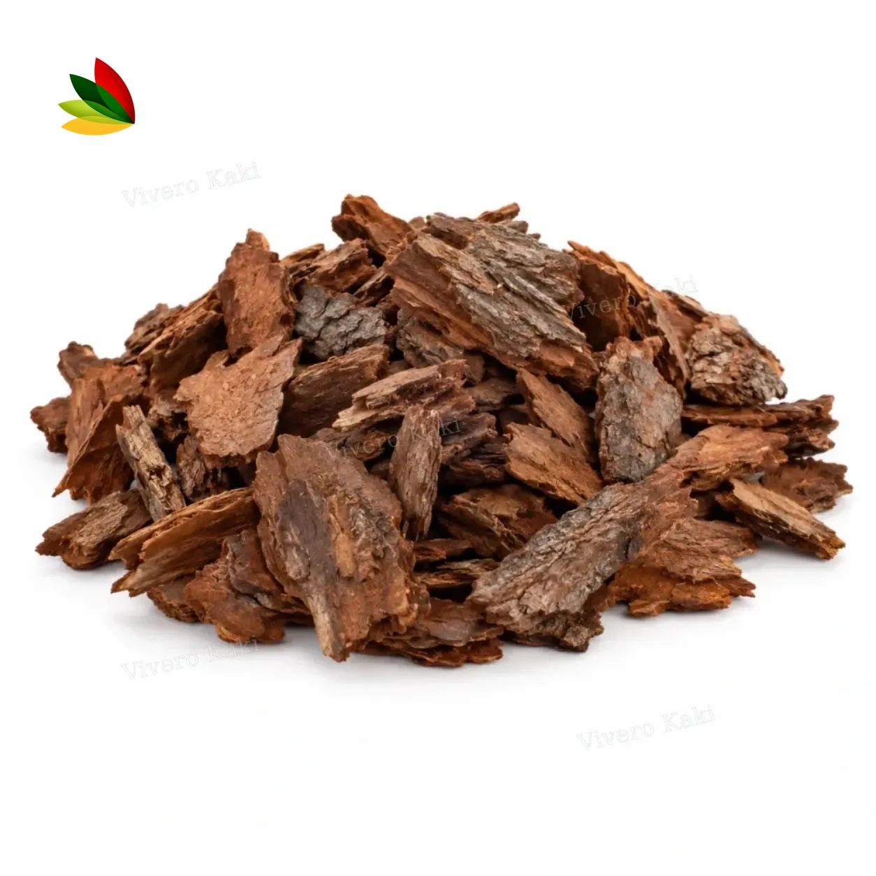 Chip decorativo