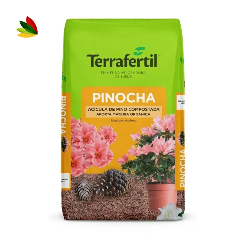 Pinocha
