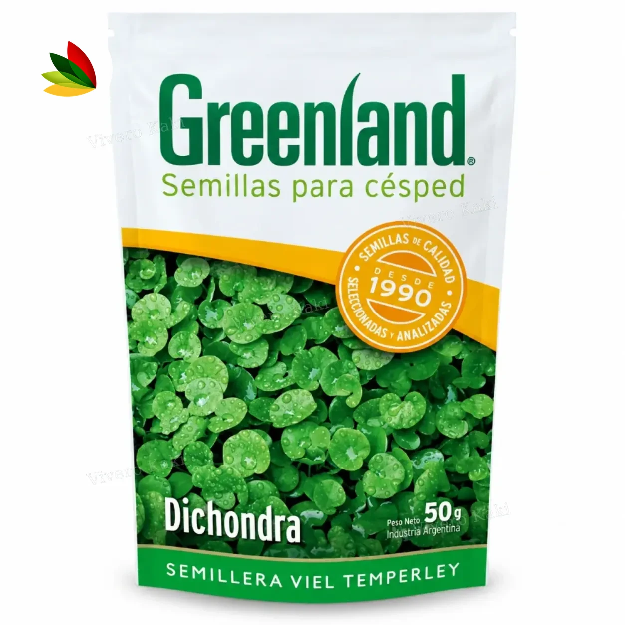 Dichondra