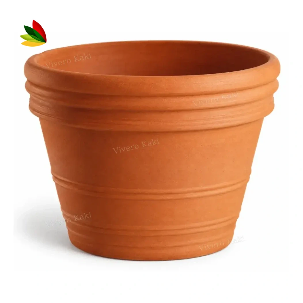 Vaso Antiguo de barro