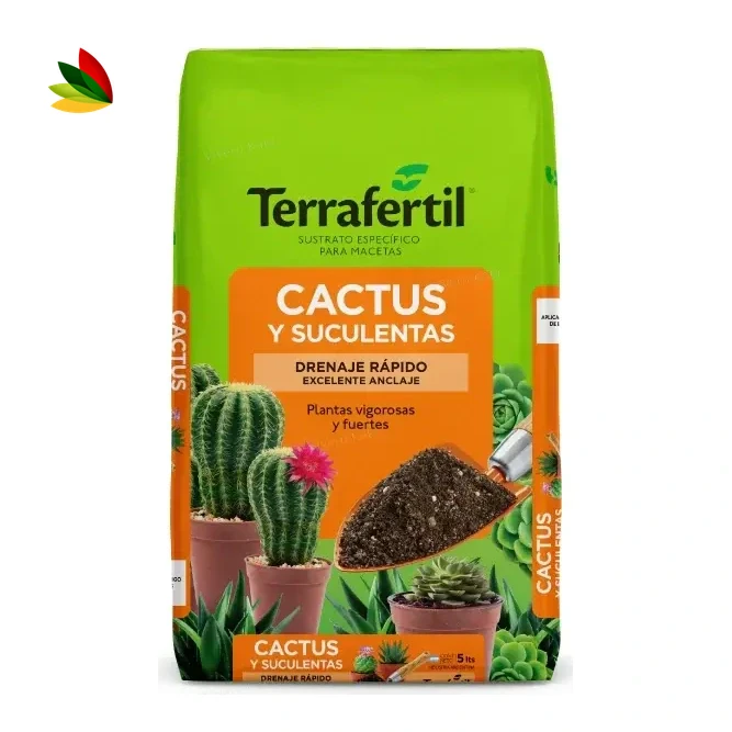 Cactus y suculentas