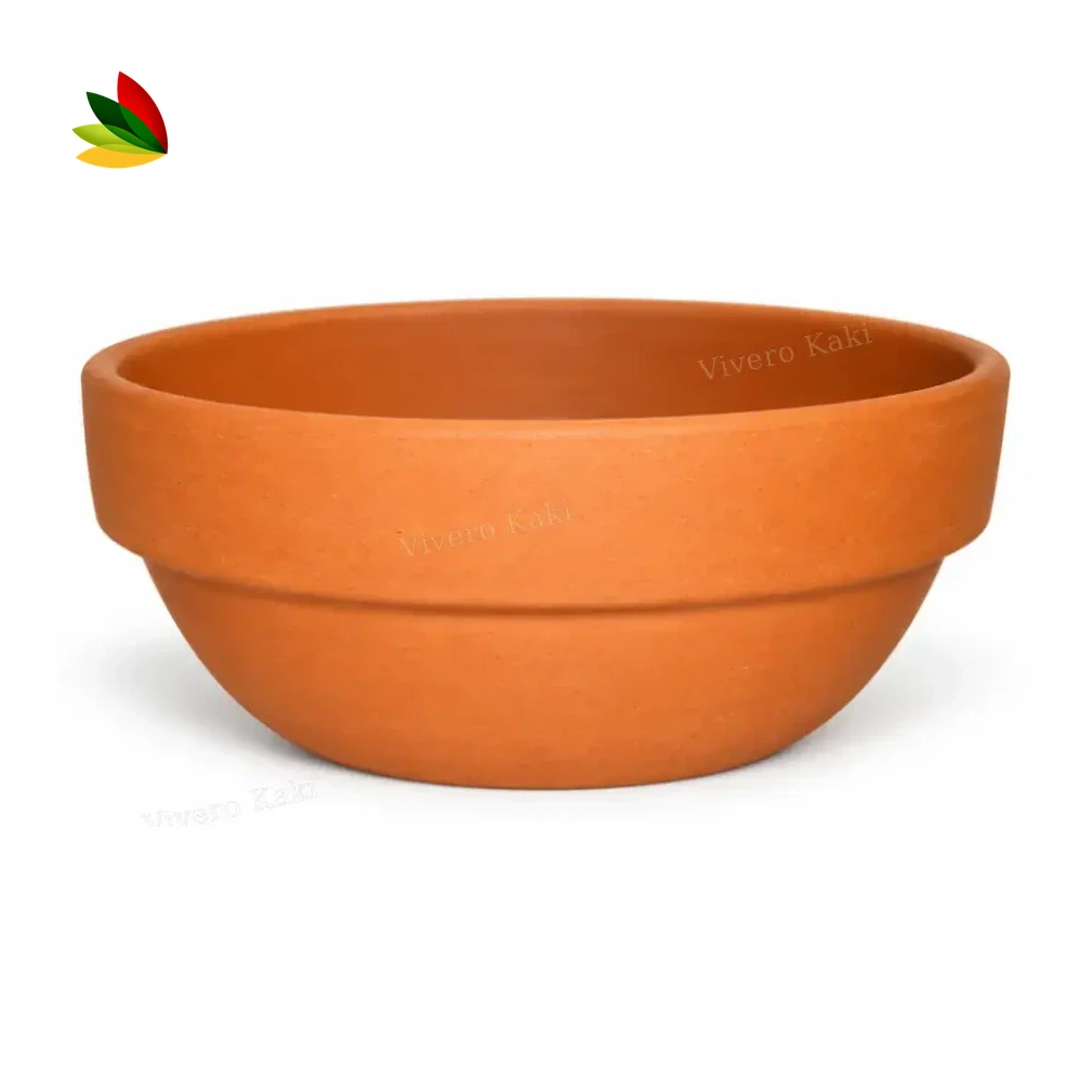 Cazuela de barro