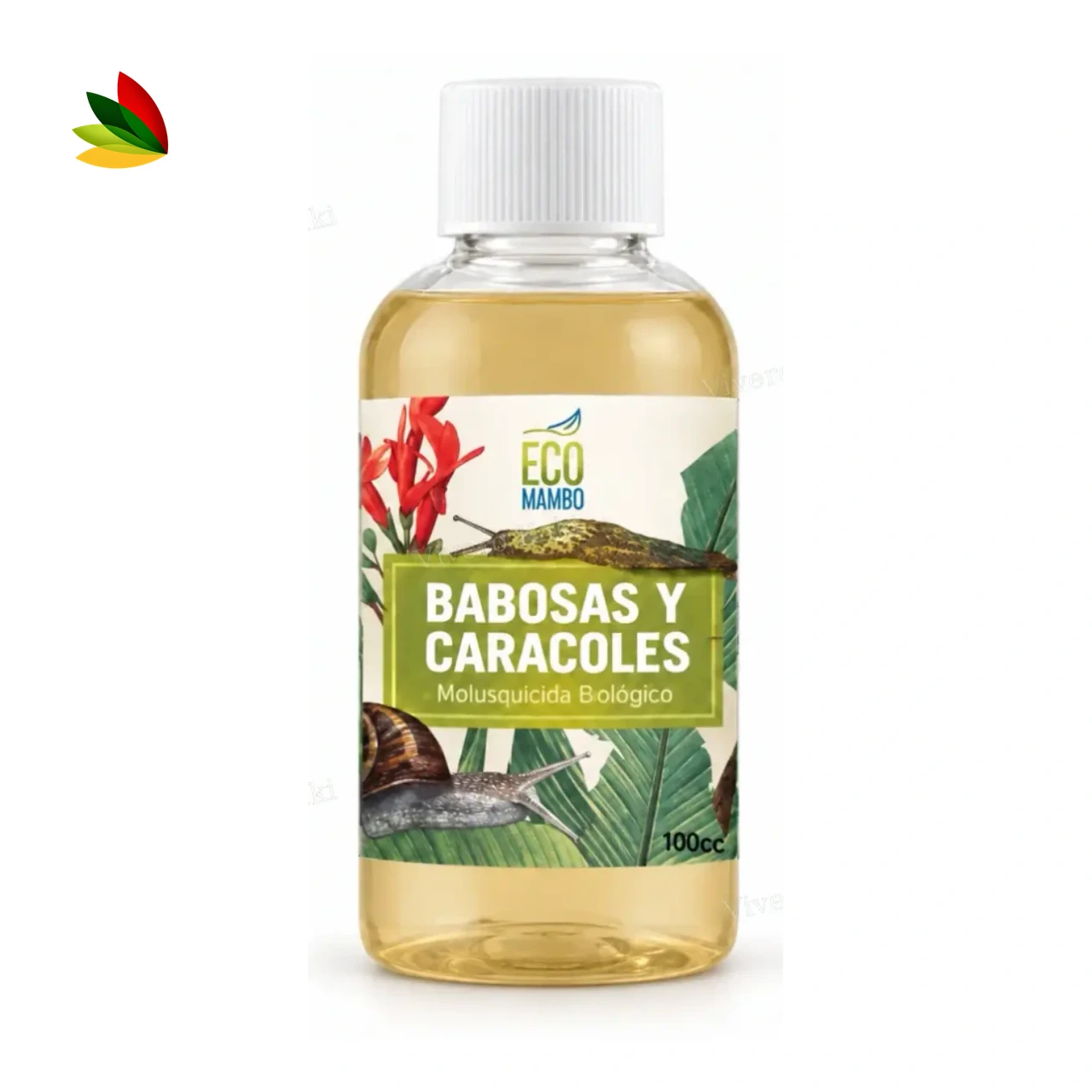 Eco mambo babosas y caracoles