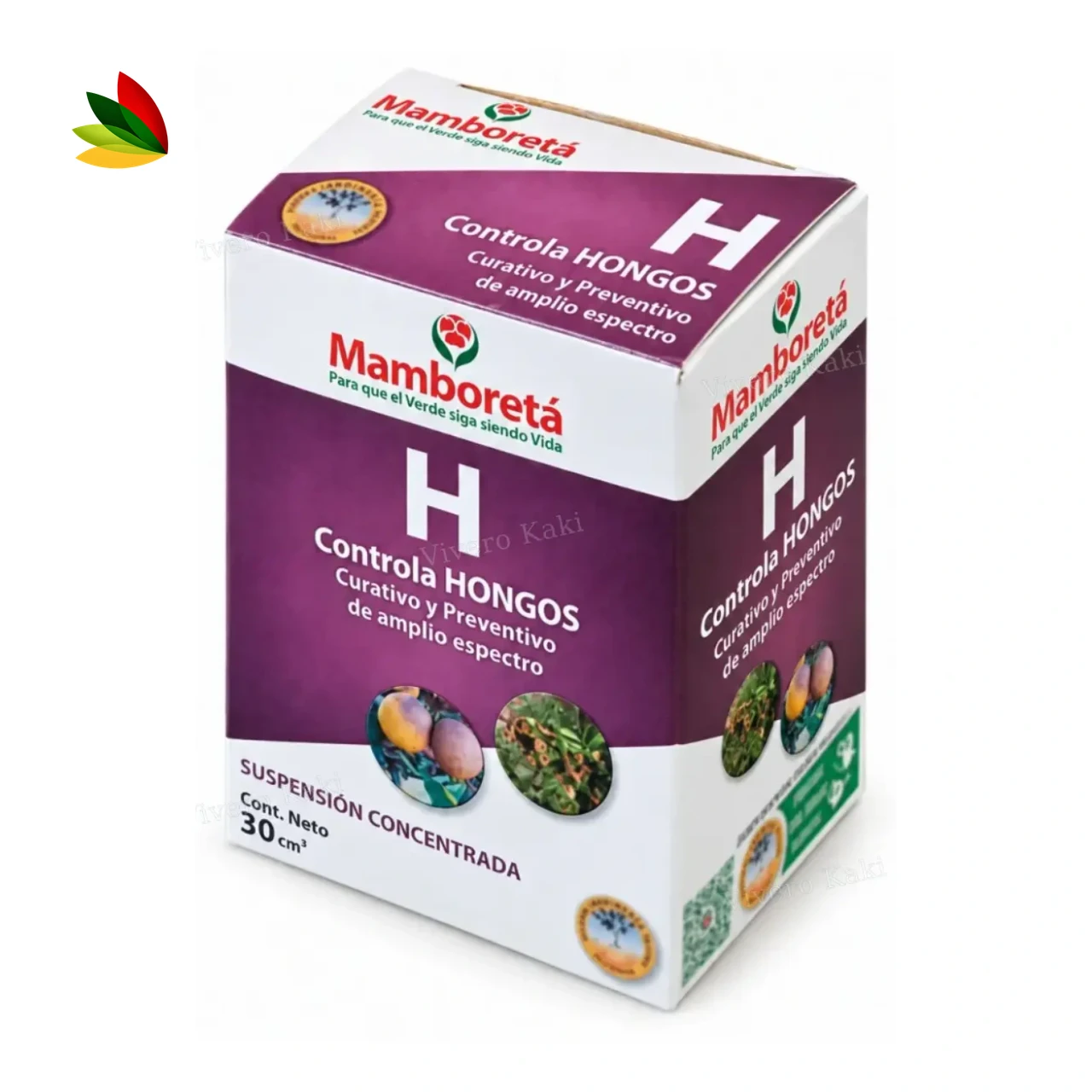 Mamboretá "h"