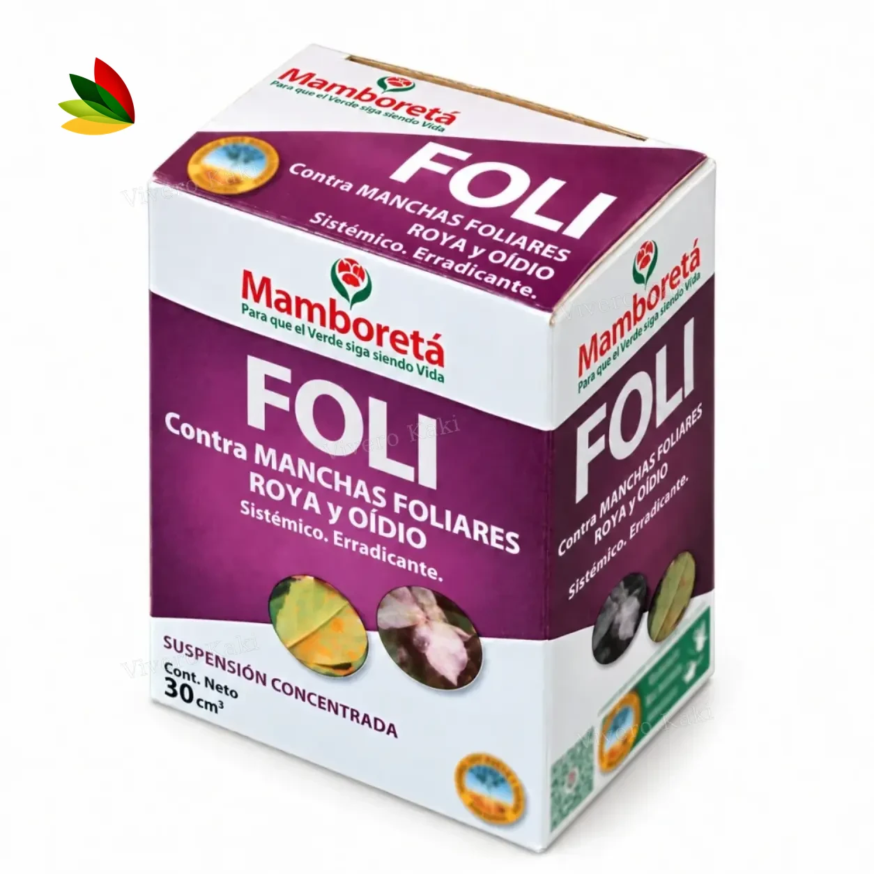 Mamboretá foli