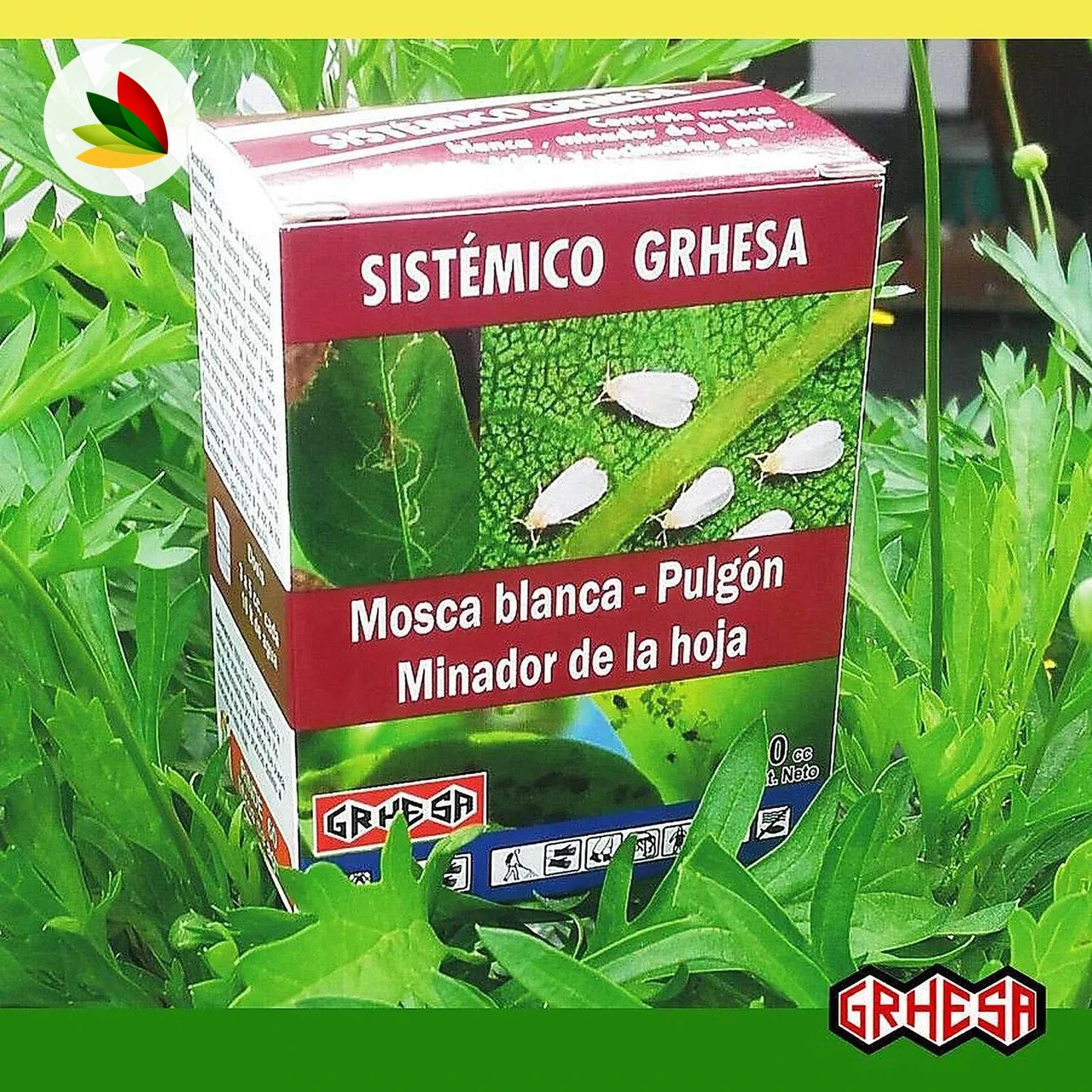 Grhesa sistemico