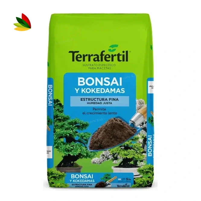 Bonsái
