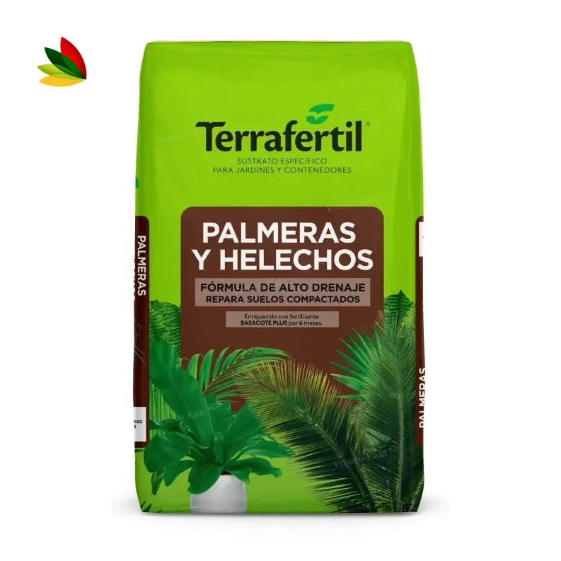 Palmeras y helechos