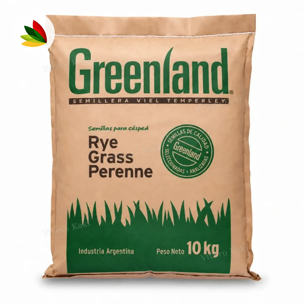Rye Grass Perenne