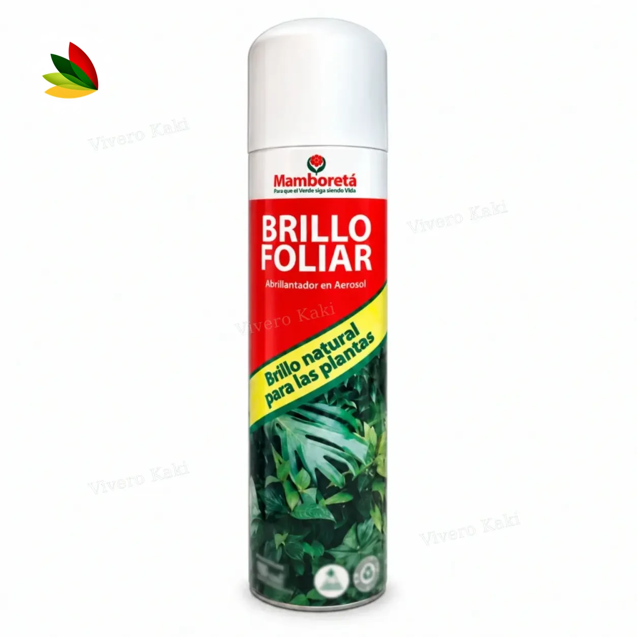 Mamboretá brillo aerosol