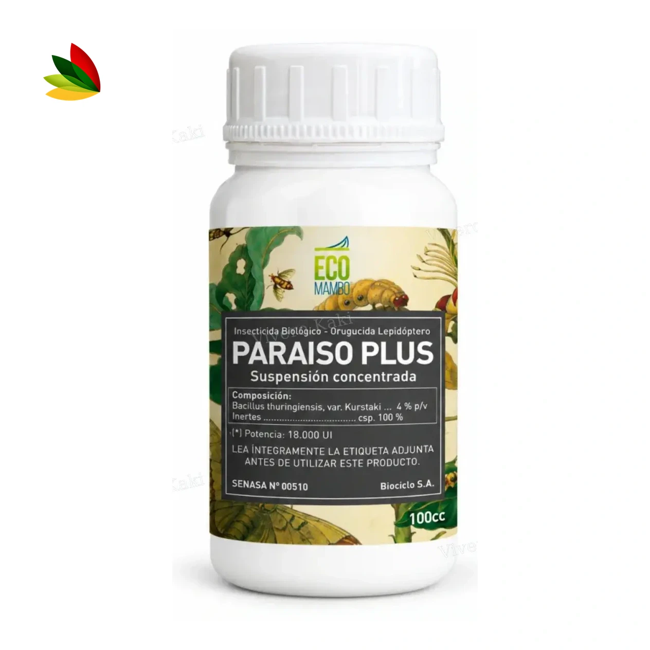 Eco mambo paraíso